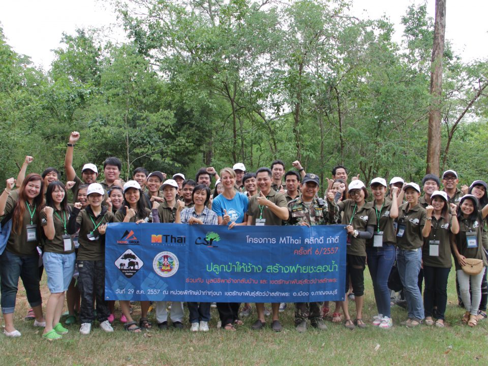 Reforestation for Elephants and Check Dam Building