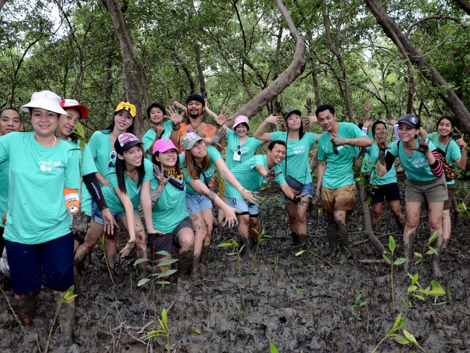 โมโน กรุ๊ป ร่วมใจ ปลูกป่าชายเลนถวายพ่อหลวง